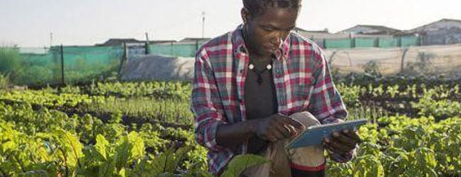 RENFORCEMENT DE CAPACITES: L’Union Africaine lance des bourses de Master et de formations courtes en recherche et innovation agroalimentaire