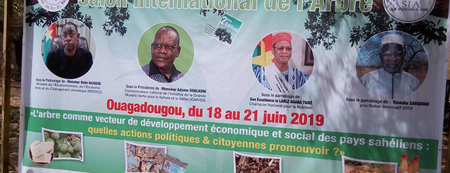 SIA 2019: ” S’il n’y a pas d’arbres, il n’y a pas d’hommes ” dixit Yacouba Savadogo