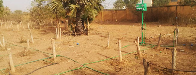 Innovation agricole: SAAGGA irrigue votre champ en un clic
