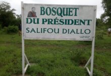 An 2 DECES DE SALIFOU DIALLO: Le MPP “ressuscite” Gorba à travers des plants