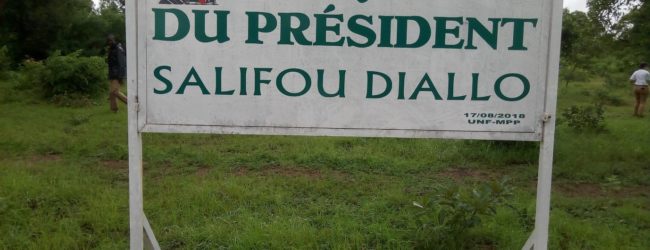 An 2 DECES DE SALIFOU DIALLO: Le MPP “ressuscite” Gorba à travers des plants