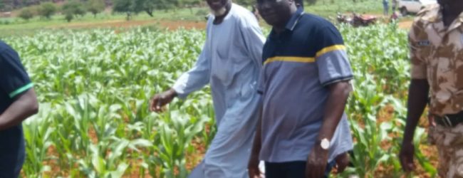 PRODUCTION AGRICOLE : Gorba, le “fou” devenu un modèle à Mani