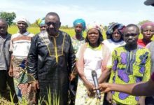 Bénin : le gouvernement annonce la production d’un million de tonnes de riz d’ici 2022