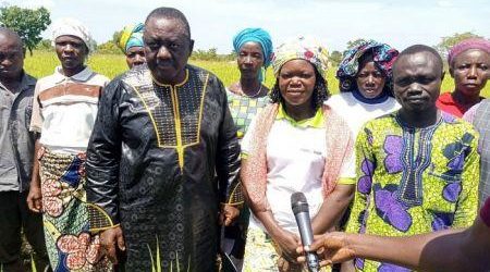 Bénin : le gouvernement annonce la production d’un million de tonnes de riz d’ici 2022