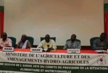 Burkina Faso : Campagne Agricole 2019 : Le bilan jugé passable avec 2,92% de baisse de la production céréalière