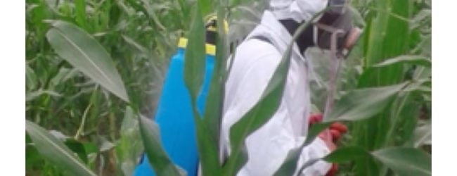 USAGE INCONTRÔLÉ DES PESTICIDES : Ces Résidus de Poison qui Garnissent nos Assiettes