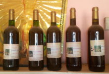 « Les Vins du Burkina » : La marque de vin 100% Burkinabè