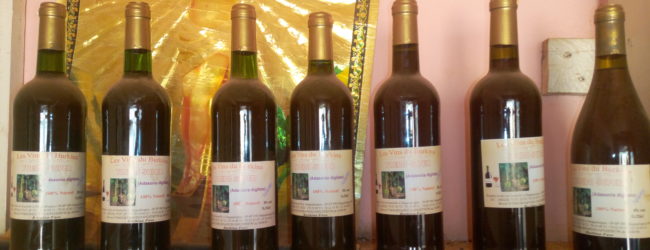« Les Vins du Burkina » : La marque de vin 100% Burkinabè