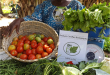 Agriculture Biologique : L’association La Saisonnière vend la santé et le bien être dans le plat des consommateurs Burkinabè