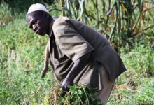 Burkina Faso :             Bientôt une carte professionnelle pour les agriculteurs