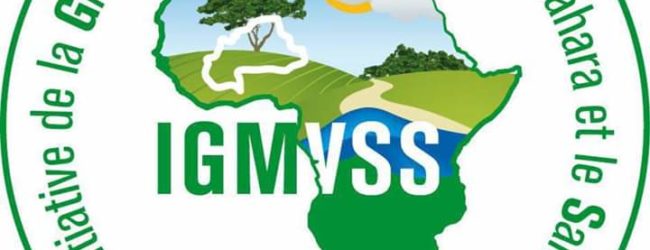 Protection de l’Environnement :                  La Grande Muraille Verte partage son expérience à l’IPD AOS