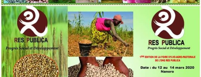 Foire Agro-Sylvo-Pastorale de l’ONG RES PUBLICA : Une solution pour juguler la pauvreté à Nanoro