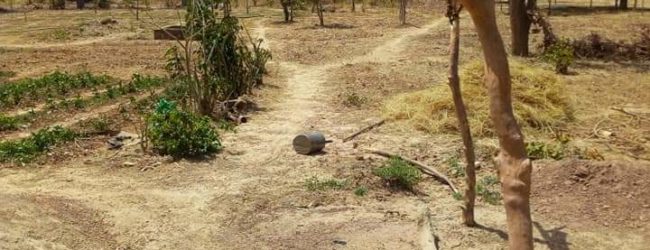Burkina Faso :                    Les Agro-pasteurs de Rissi sont à sec