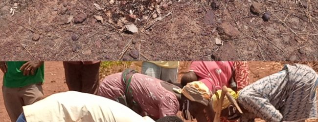 Projet Climat:                       Une force qui tacle la sahélisation du Centre-ouest Burkinabè