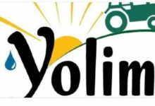 Togo / Agriculture : Yolim, l’innovation technologique pour soutenir les petits producteurs