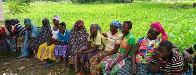 CNABio-OM4D / Certifications de forêts pour la collecte des produits forestiers non ligneux:         Plus de 10 localités concernées et plus de 1700 collectrices bénéficient de la certification.