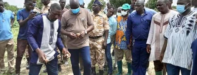Campagne agricole région du Centre-Ouest:      l’exploitation agricole de Anasse Yago qui vaut 37 000 000 de FCFA