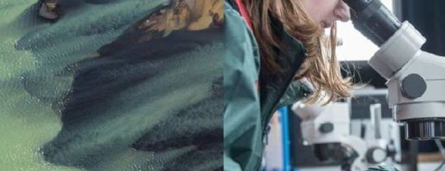 Prix de l’innovation Ericsson 2020 : Développer des idées nouvelles pour affronter le changement climatique et espérer empocher la cagnotte de 16 millions de FCFA