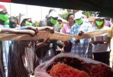 16 ème édition de la fête du Citumu: Faire de la chenille de karité un label de la ville de Bobo-Dioulasso