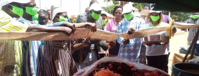 16 ème édition de la fête du Citumu: Faire de la chenille de karité un label de la ville de Bobo-Dioulasso