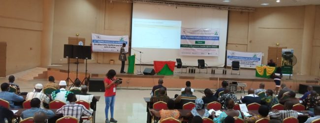 JMA 2020 : Comment nourrir le Burkina de demain, on y réfléchit