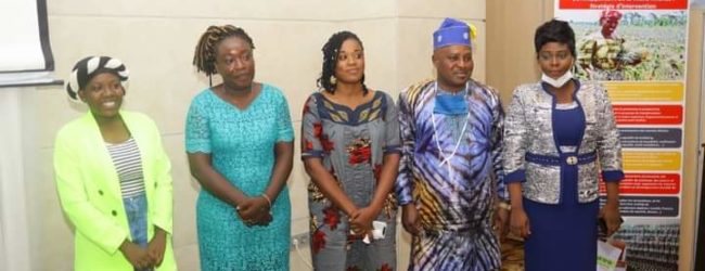 Mis en valeur des (sous) produits et résidus de l’ananas au Bénin: 5 entreprises innovantes primées