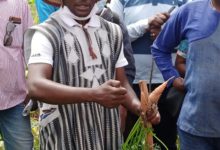 Agriculture : Razack Belemgnegre partage son expérience en Agroécologie