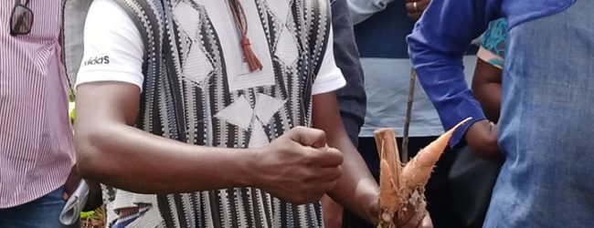 Agriculture : Razack Belemgnegre partage son expérience en Agroécologie