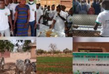CPR de Goundi : Un temple de savoir non protégé