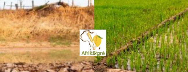 70 000 ha dégradés seront bientôt réhabilités et irrigués au Niger