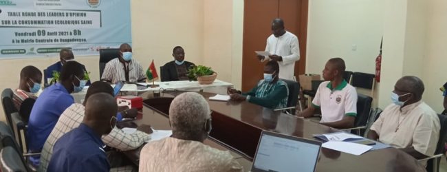 Alimentation saine des Burkinabè : Manitese, Chicomendes et le CNABio associent des leaders d’opinion à la lutte à travers la campagne de sensibilisation « Eco-Bio, c’est la vie »