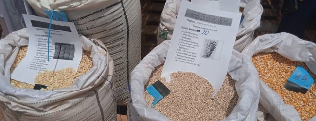 J-PROSAC 2 : 6 500 tonnes de semences cherchent acheteurs