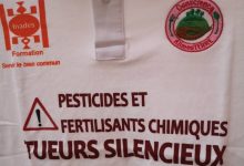 Campagne Conscience AlimenTerre : Barrer la route aux intrants chimiques, ces « tueurs silencieux »