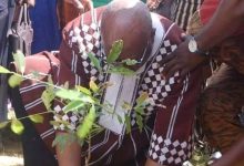 Burkina : Campagne de Reforestation 2021: Attention aux opérations de reboisement caméra