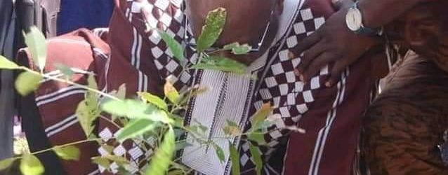 Burkina : Campagne de Reforestation 2021: Attention aux opérations de reboisement caméra