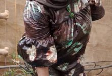 “Le Burkina Faso et l’Afrique doivent briller à l’international avec l’agriculture” : Adjaratou Sanogo promotrice de Agrobusiness Badouha
