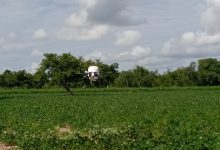 Burkina Faso : Bientôt des fermes modèles automatisées pour « séduire » les jeunes