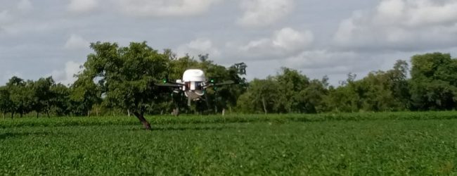 Burkina Faso : Bientôt des fermes modèles automatisées pour « séduire » les jeunes