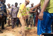 Campagne de reboisement << Ouaga la verte>>: 1200 plants mis sous terre