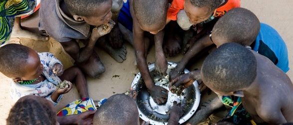 Niger : près de 600 000 personnes exposées à l’insécurité alimentaire