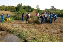 Opération de salubrité: les VADS donnent fière allure au Parlement Burkinabè