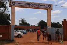 Ouagadougou : 300 têtes d’animaux mis en Fourrières en septembre ( Police Municipale)