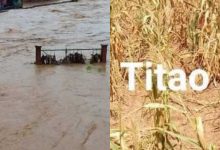 Burkina Faso : la campagne agricole a subit de plein fouet les effets de la sécheresse et des inondations