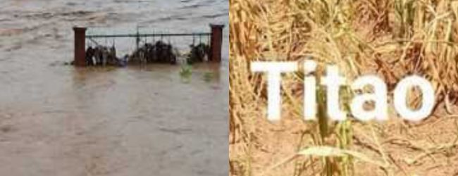 Burkina Faso : la campagne agricole a subit de plein fouet les effets de la sécheresse et des inondations
