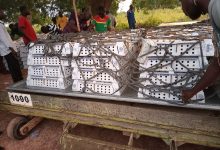 Aviculture : Mohazou Zoungrana reçoit sa commande de poussins venant du Maroc