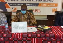 Trafic des ânes au Burkina Faso : Un atelier pour trouver des solutions durables