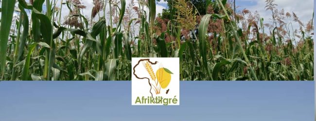 Burkina/Fusion Agriculture et Élevage : Il était temps