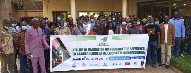 Agroécologie au Burkina: Bientôt une charte et un document de référence