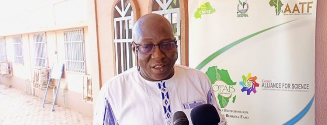 « Les chercheurs sont les premiers à sauvegarder la semence paysanne » : Dr Valentin Edgar Traoré Coordonnateur OFAB-Burkina