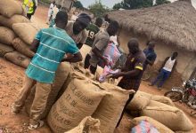 Côte d’Ivoire/Campagne 2022 de la cajou: 17% de la production devrait être transformé localement